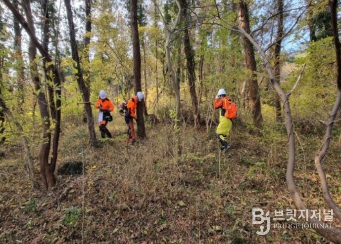 소나무재선충병 차단 ‘예방나무주사’