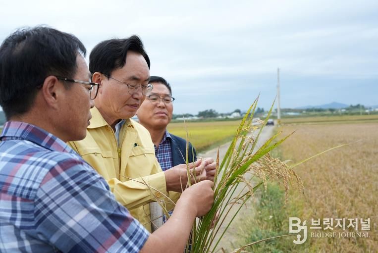 나주시가 벼 깨씨무늬병 피해를 본 농가에 복구비를 지원한다. 사진은 윤병태 시장(가운데)이 벼 깨씨무늬병 상태를 살피고 있는 모습.