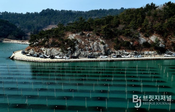 ‘장흥 매생이 양식장’ 사진명소로 각광