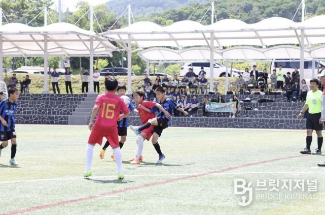 지난해 유소년 축구대회 사진