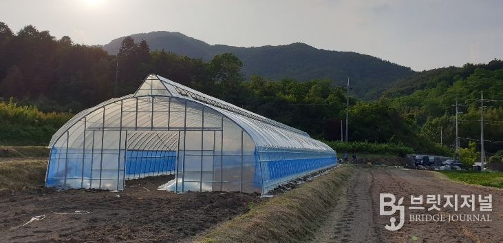 보조사업으로 설치된 비닐하우스