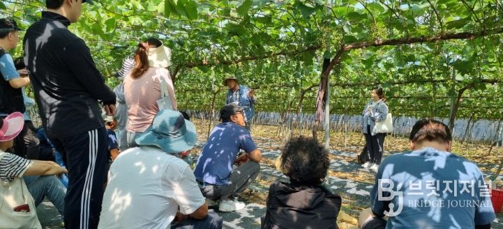 농업인 안전보험 90% 지원 ‘농업인 안전망 강화’