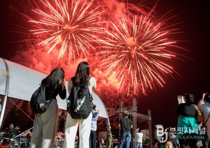 증평인삼골축제, ‘도 지정