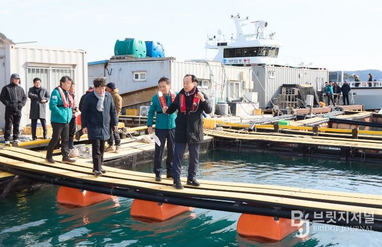 통영시, 가두리 양식장 저수온 피해 예방 선제적 대응 돌입!