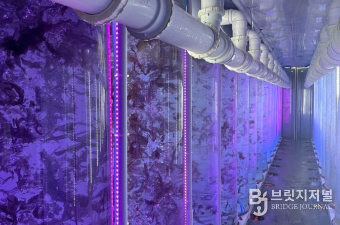 사업 우수기업_브이에스신비