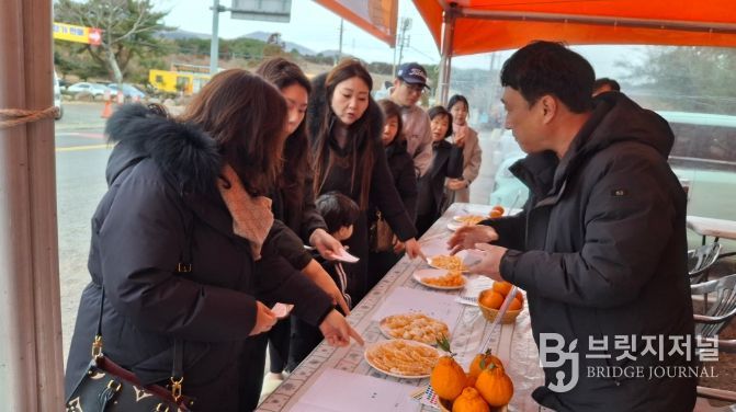 제주 만감류, 수입 만다린 비교 시식회