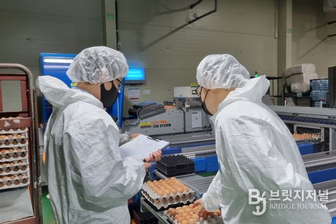 식용란 선별 포장업 점검