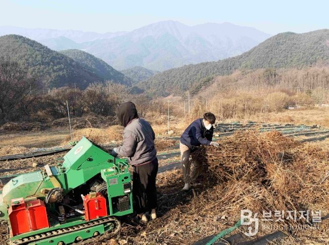 함양군은 겨울철 산불 예방과 안정적인 영농 지원을 위해 영농 부산물 안전 처리 지원사업을 추진하고 있다.
