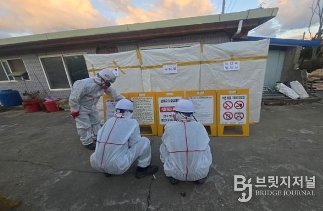 옹진군, 2026년 슬레이트 건축물 철거 및 처리 지원사업 신청접수