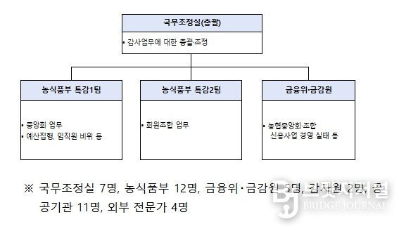 정부합동 특별감사반 구성 및 인원