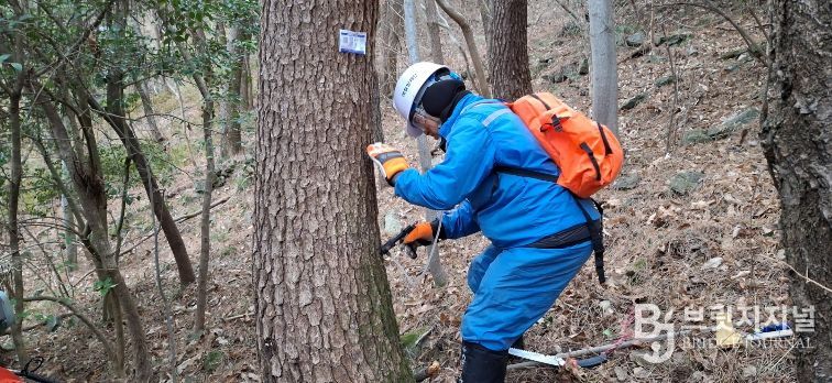 통영시 소나무재선충병 전략적 방제 추진