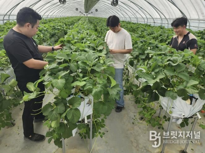 2025년 신규농업인 현장실습교육 현장