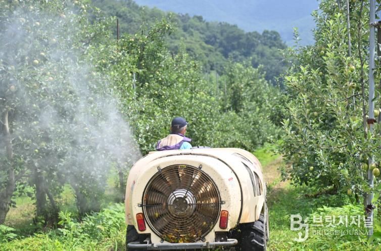 청송군, 2026년 과수분야 지원사업추진