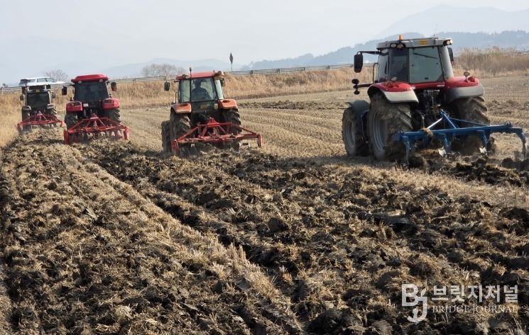 영광군, 왕우렁이 월동 방지 위한 선제 대응 추진