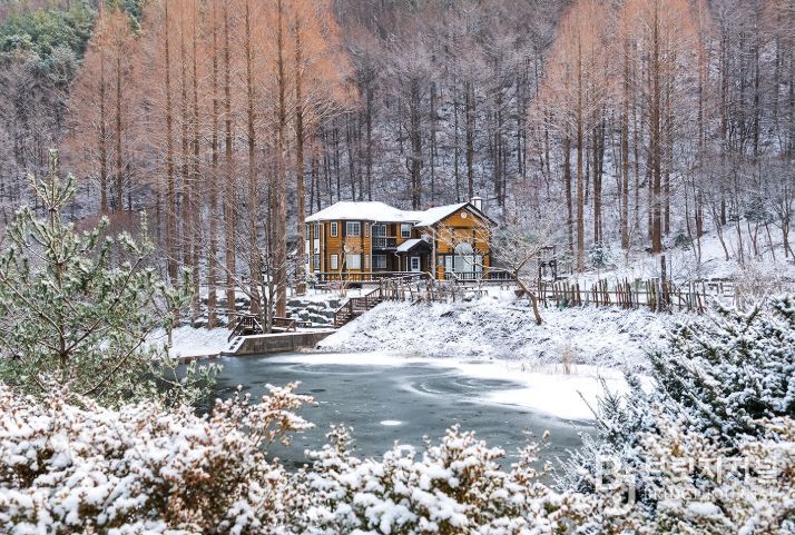 논산시 4계절 꽃 피는 온빛수목원 조성