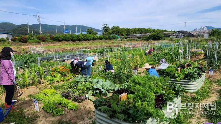 2026년 도시농업 기초반, 전문가반 교육생 모집