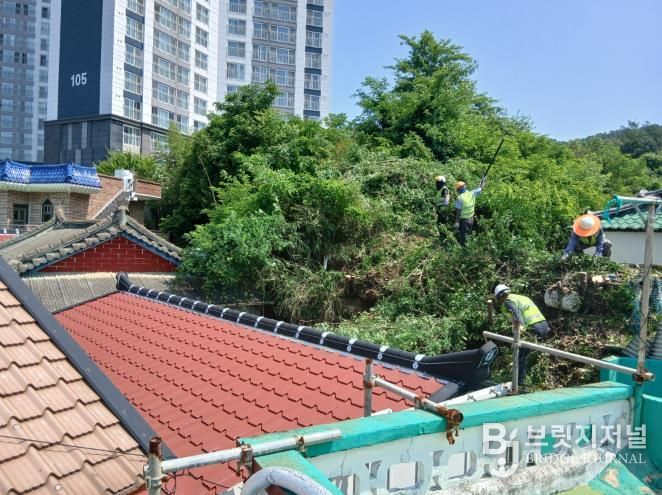 고성군, 도시림 체계적 관리를 위한 녹지(수목)정비단 운영