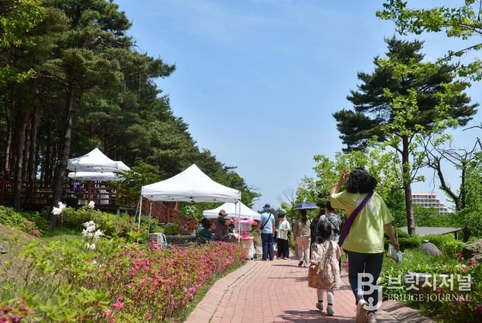 속초시립박물관, 2026년 노리숲길 숲속마켓 셀러 모집