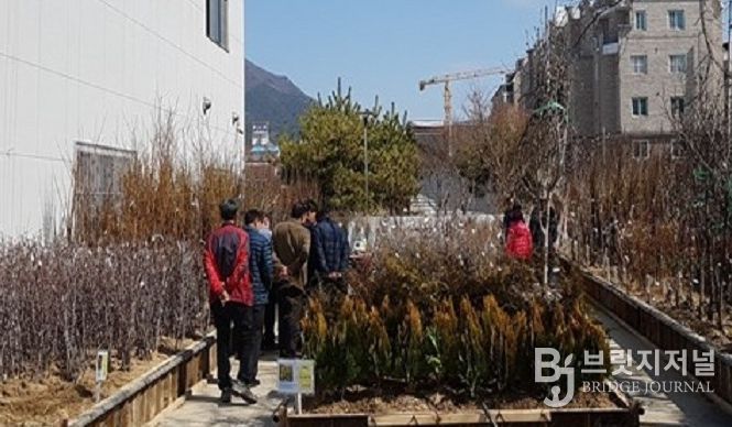 고창군산림조합, 2026년 나무시장 개장