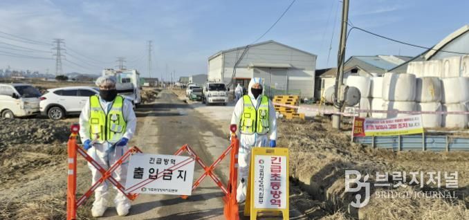 구제역 발생 농가 현장