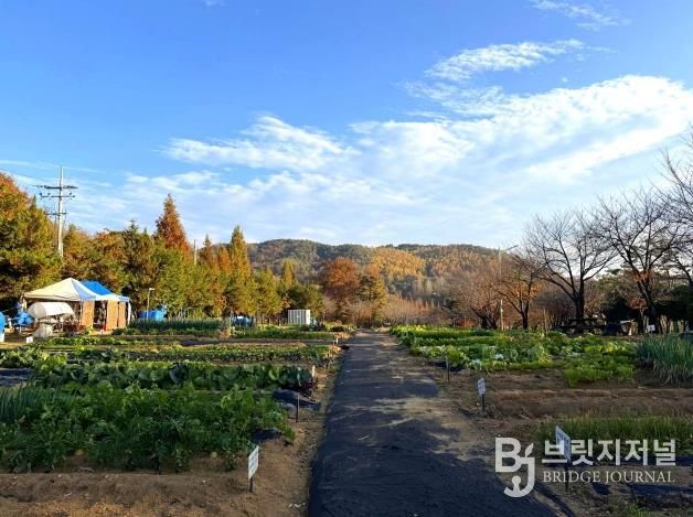 안성시, 2026년 도시농업공동체 공공텃밭 분양자 모집