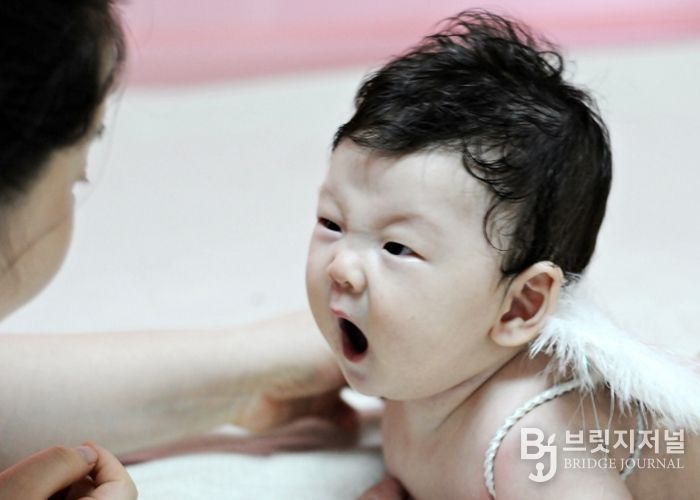 다자녀 가구 및 출산 지원 사업