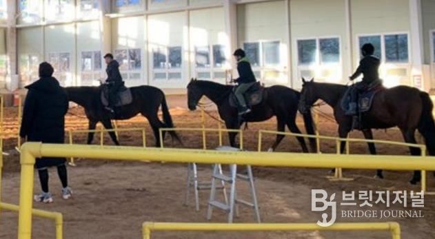 중구, 2026년 붉은 말의 해 학생승마체험 지원사업 참여자 모집