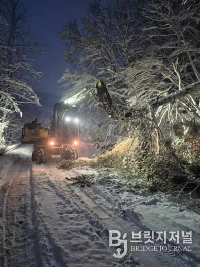 평창군, 대관령 39.2cm 폭설 완벽 대응