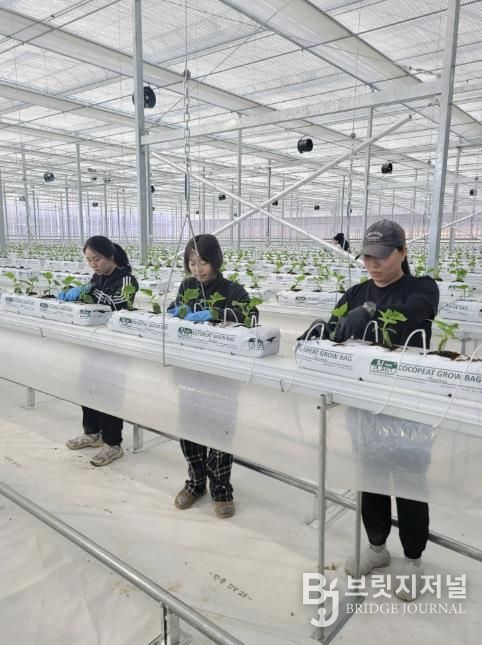 괴산군 청년농 임대형 스마트팜 본격 운영, 추가 시설하우스도 조성