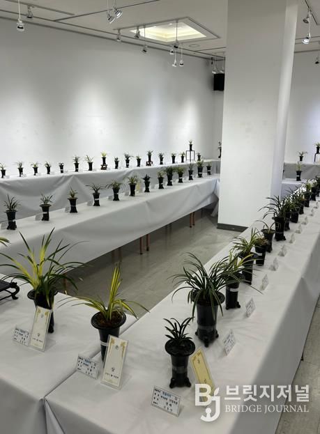 2025년 난 연합회 봄 전시회