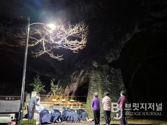 고성문화원 ‘전승목 당산제’ 개최