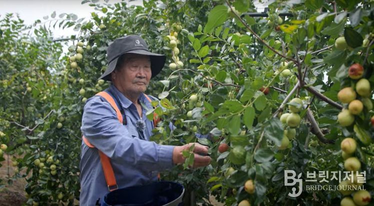 2026년 산림소득사업 지원 추진