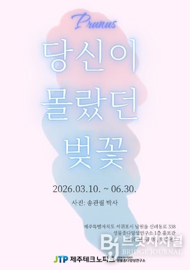 벚나무 전시회 홍보 포스터