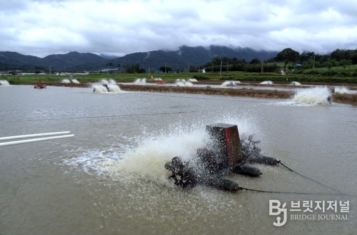 “내수면 양식생물 입식·출하,