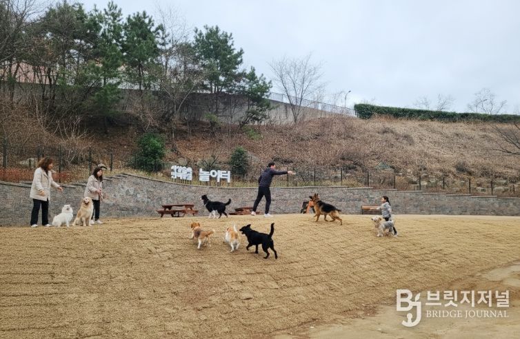 사상숲속반려동물 놀이터