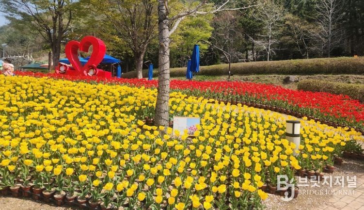 광장·산책로 일대 봄꽃동산 조성,