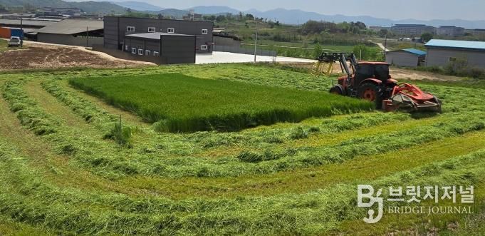 청주시, 첫 조사료전문단지 조성으로 자급사료 선도