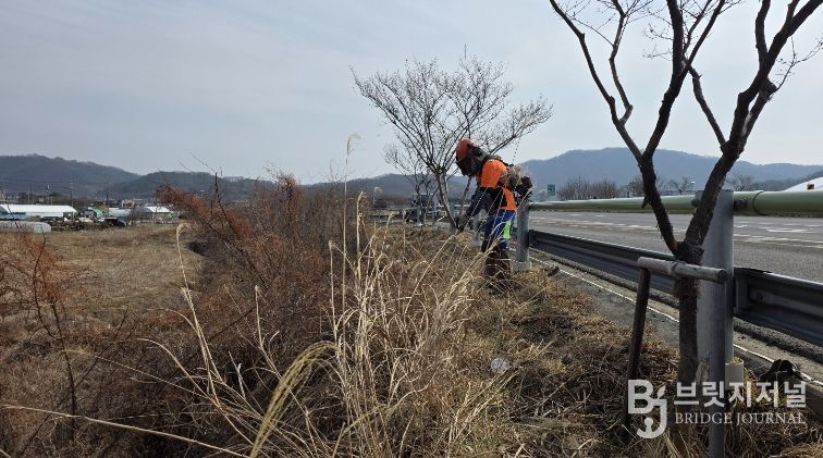 성주군, 봄맞이 국도 30호선 가로변 환경 정비를 통한「우리동네 새단장」추진