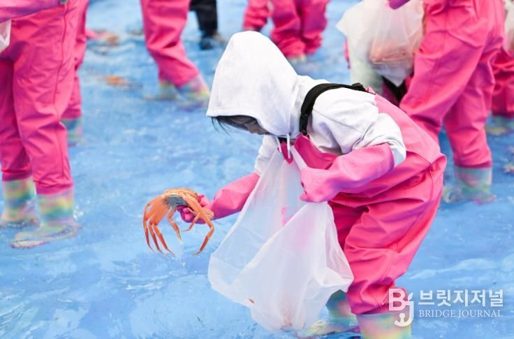 2025년 제28회 영덕대게축제 어린이 게판 체험 프로그램.