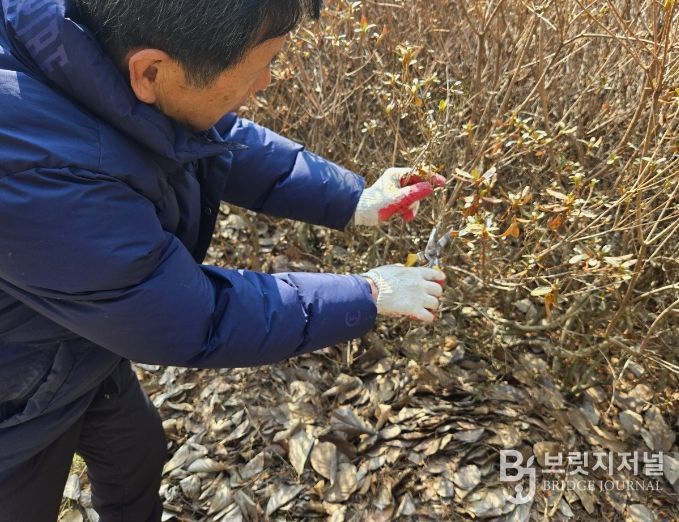 농림지 돌발해충 ‘합동 예찰’ 실시
