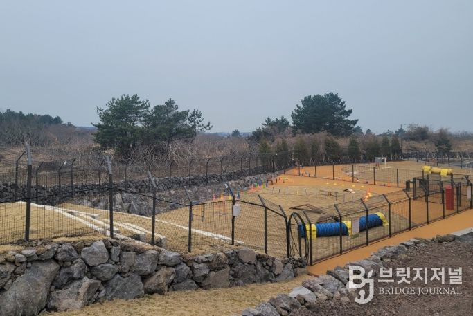 반려동물 놀이공원