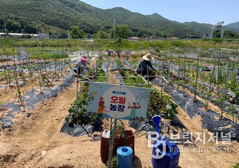 2024년 상동면 대감마을 리틀 포레스트 팜