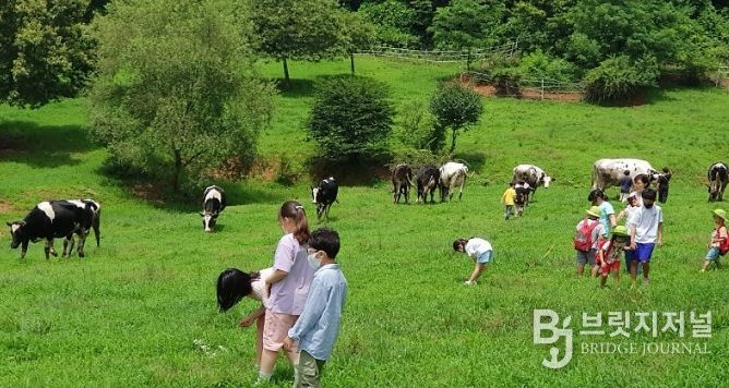 깨끗한 축산농장 지정 농장