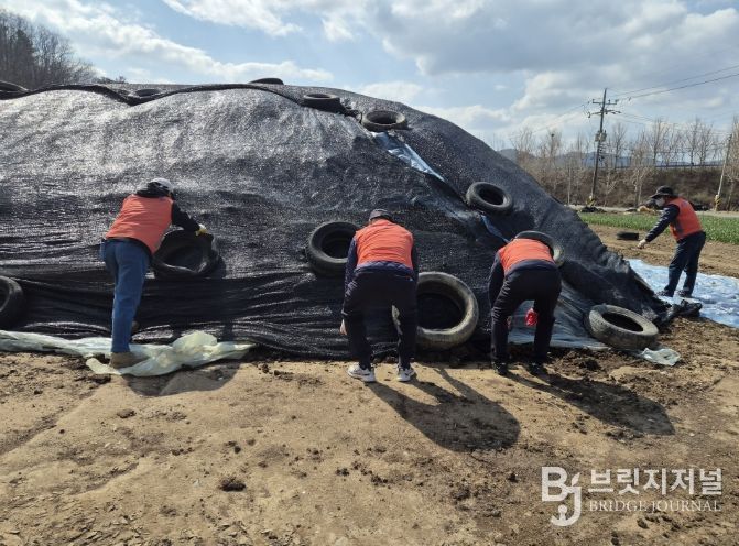 환경기동감시단이 퇴비가 야적된 장소를 단속하고 있다.
