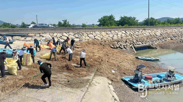 해양쓰레기 수거 사진