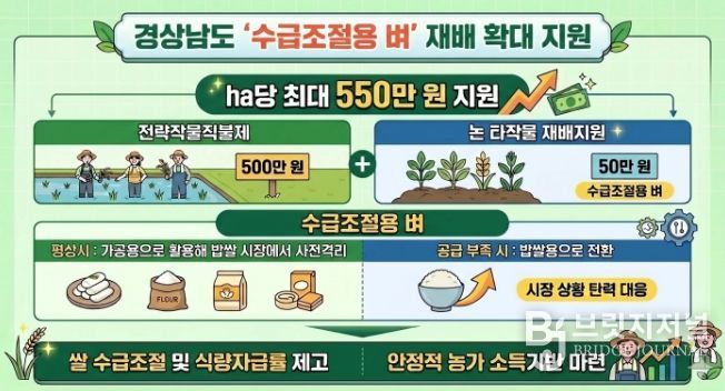 수급조절용벼 재배 확대 지원