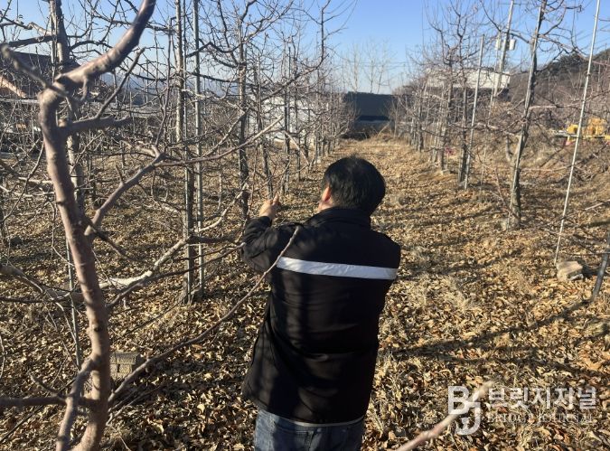 과수화상병 예찰 및 약제 배부