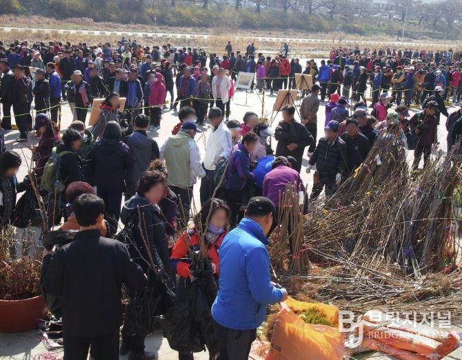 청주시, 식목일 기념 나무 나누어주기 행사 개최