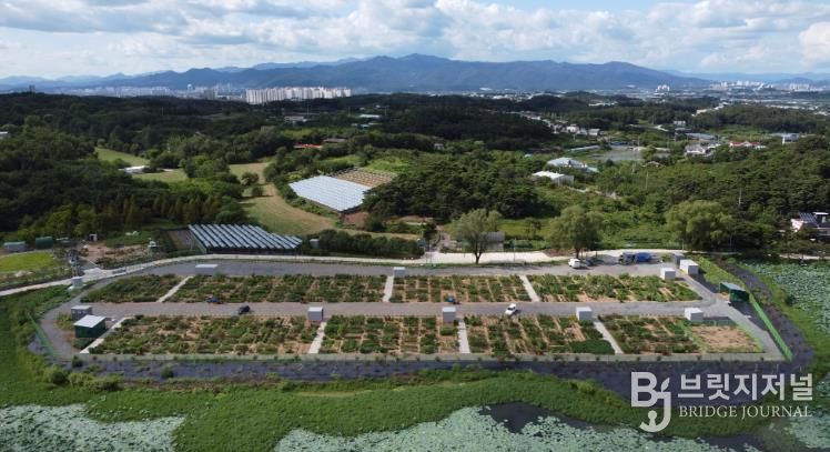경산시, 도시농업 공영농장 개장, 시민 호응 기대