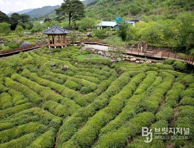 봄은 하동에서 시작해, 하동에서 완성된다